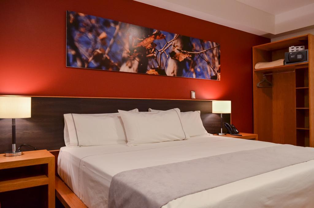 Concept Hotel 萨莫拉-德伊达尔戈 客房 照片